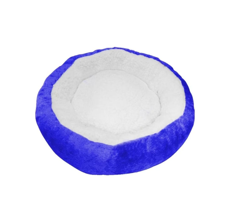 Conforto Quentinho o Ano Todo