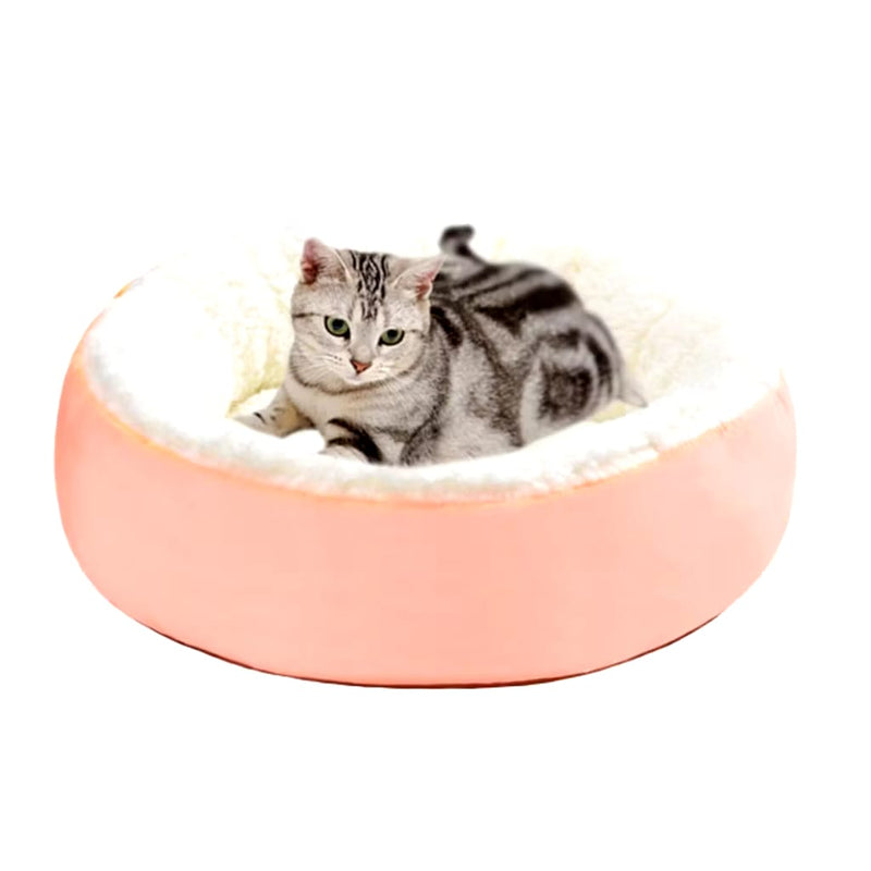 Conforto Quentinho o Ano Todo