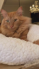 Conforto Quentinho o Ano Todo